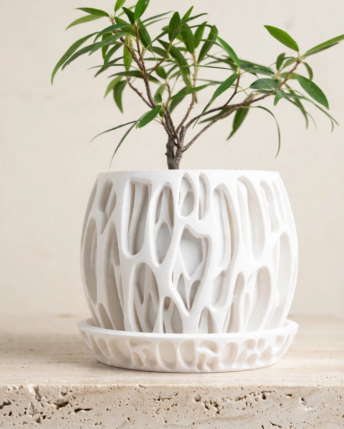 Voronoi Lattice Planter Pot matte white 3D printed modern bonsai planter with drainage tray in planters and vessels category